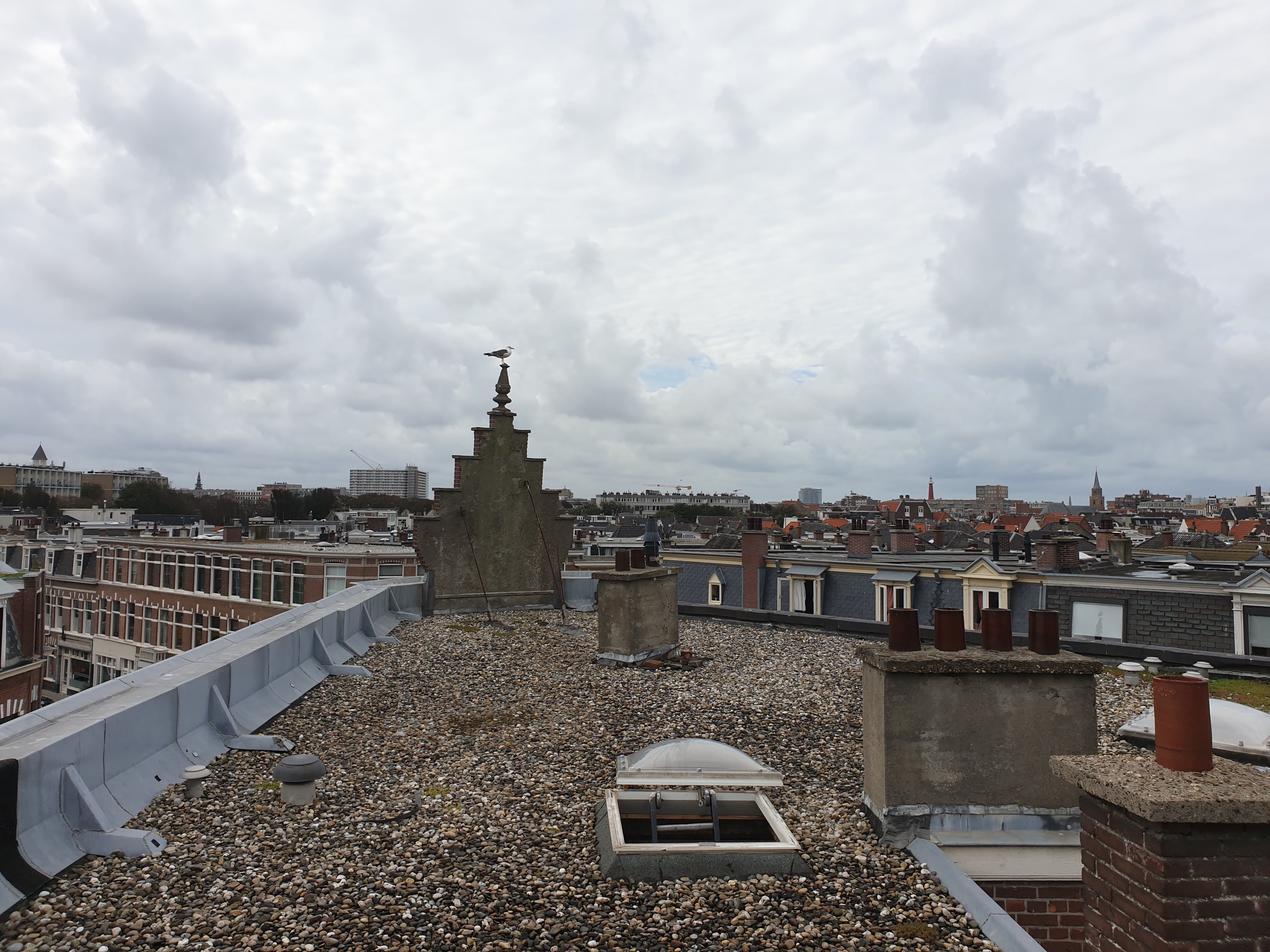 Totale renovatie en plaatsen opbouw – Van Tuyllstraat, Den Haag – Voor 9